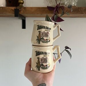 Vintage Amana Colonies Iowa collection mug